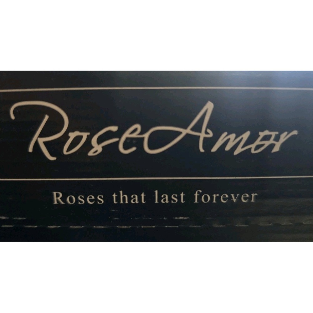 Preserved Roses Forever Roses 6 Pack Multi Color XL Ecuador - Picture 5 of 8